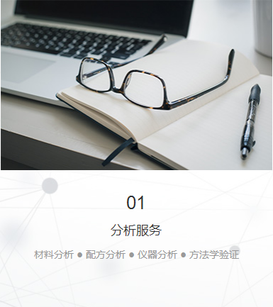 分析服务